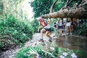 BIB: 
                            <button type="button" onclick="openModal(25466206)" class="btn btn-primary btn-sm float-right btn-popup" data-toggle="modal" data-target=".modal-high-quality">
                        <i class="fas fa-shopping-cart"></i> Add to Cart
                    </button>
                                            <button type="button" onclick="isThisMe(25466206, true)" class="btn btn-success btn-sm float-right btn-popup btn-isme hidden" data-toggle="tooltip" data-placement="bottom" title="นี่คือรูปของคุณใช่ไหม คลิกที่นี่เพื่อเอาเข้าอัลบั้ม">
                        <i class="fas fa-plus"></i> Add to album
                    </button>
                    <button type="button" onclick="isThisMe(25466206, false)" class="btn btn-warning btn-sm float-right btn-popup btn-isnotme hidden">
                        <i class="fas fa-ban"></i> Remove from album
                    </button>